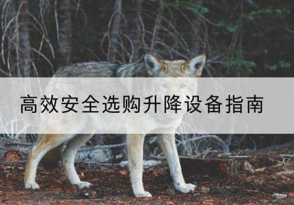 阜阳升降货梯厂家推荐-*安全选购升降设备指南