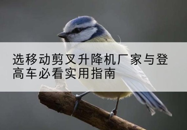 阜阳电动升降机厂家-选移动剪叉升降机厂家与登高车必看实用指南