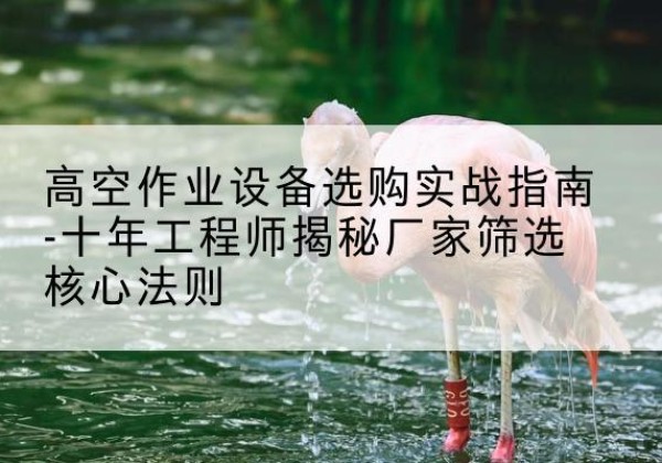 阜阳剪叉式升降机厂家-高空作业设备选购实战指南-十年工程师揭秘厂家筛选核心法则