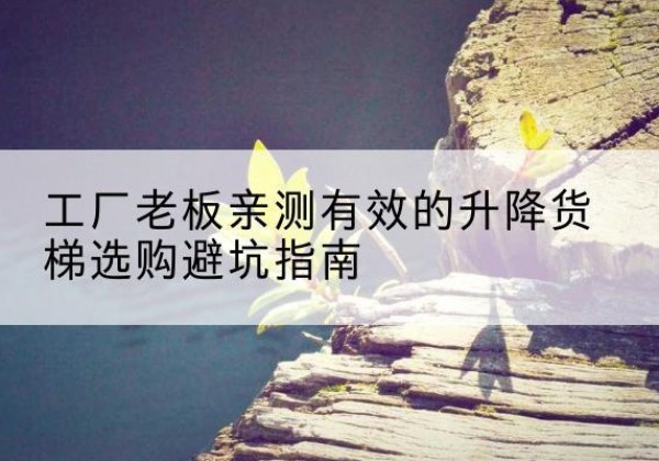 阜阳升降货梯怎么选-工厂老板亲测有效的升降货梯选购避坑指南